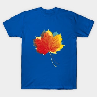 Autumn leaves red yellow on blue T-Shirt